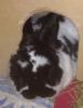 Benutzerbild von Berry