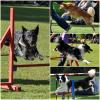 Benutzerbild von Black Wolf