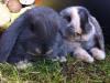 Benutzerbild von Bounty&Balu
