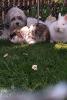 Benutzerbild von bounty.sky