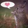 Benutzerbild von Bunnycandy