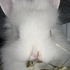 Benutzerbild von Bunte Pfote