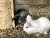 Benutzerbild von Carlchen