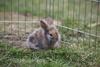 Benutzerbild von Carolin-&-Klein-Hase
