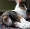 Benutzerbild von Charly11