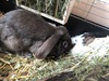 Benutzerbild von Christinchen001