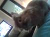 Benutzerbild von Coockie