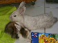 Benutzerbild von Danni216