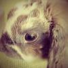 Benutzerbild von Debby