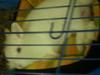 Benutzerbild von Fl�ckchen*