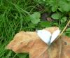 Benutzerbild von Free
