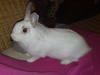 Benutzerbild von gismo