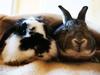 Benutzerbild von Groi�i