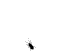 Benutzerbild von gundiraffe