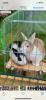Benutzerbild von Heidi&Hasi