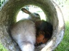 Benutzerbild von heini