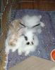 Benutzerbild von Honey&Milk