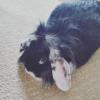 Benutzerbild von Honey_Bunny