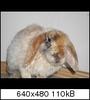Benutzerbild von hopie