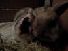 Benutzerbild von Isy&Bounty