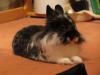 Benutzerbild von Jacqueline