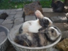 Benutzerbild von Jana =)