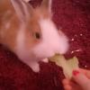 Benutzerbild von jenny962