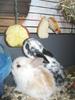 Benutzerbild von JuliaBunny