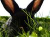 Benutzerbild von K�ttelmonster