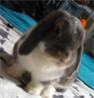 Benutzerbild von KleeneBugsy