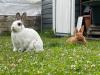 Benutzerbild von L�ffelgl�ck