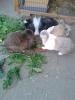 Benutzerbild von Lapin