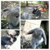 Benutzerbild von Leif&Lulu