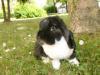 Benutzerbild von Lilly4444