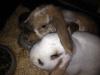 Benutzerbild von Lola+Jo