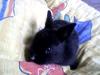 Benutzerbild von Loveless