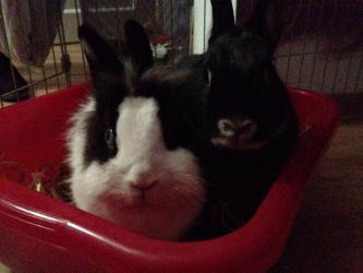 Meine M�dels!