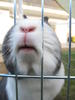 Benutzerbild von luk