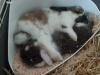Benutzerbild von M�hrenspender87