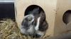 Benutzerbild von mar!n