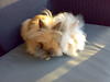 Benutzerbild von mautschup