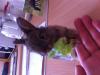 Benutzerbild von meike93