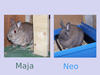 Benutzerbild von Melanie0327