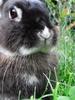 Benutzerbild von MoMi