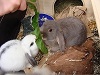 Benutzerbild von Moosmutzel_86