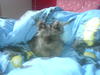 Benutzerbild von Mr. Floppy