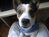 Benutzerbild von Muffin21
