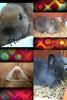 Benutzerbild von Murmel&Coco
