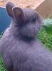 Benutzerbild von Murx