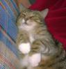 Benutzerbild von nathalie02